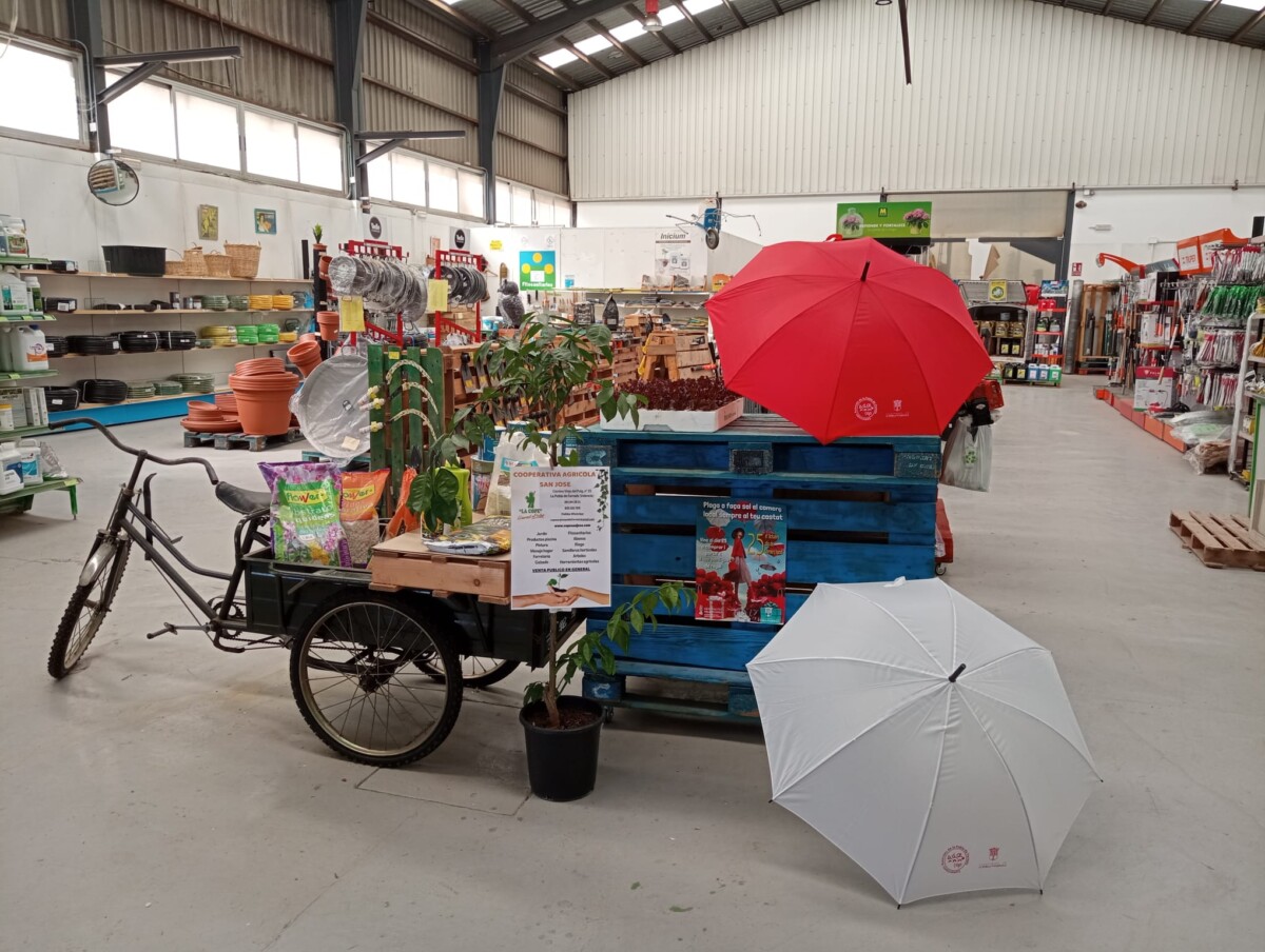 Dia del Comerç Local_la Pobla de Farnals_octubre_2023